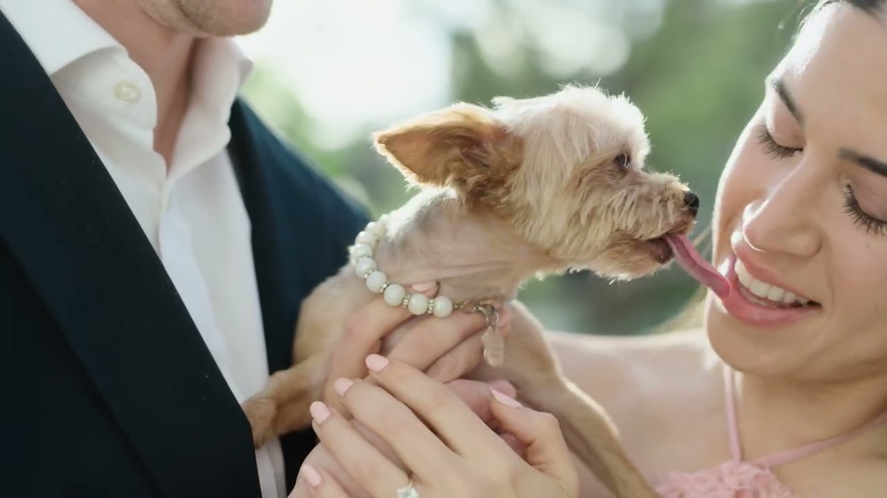 She NEVER Saw This Proposal Coming…