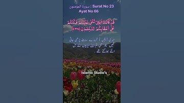 Surah Al-Muminoon Ayat No 66 ||By Sheikh Shuraim With Arabic & Urdu Text (HD)| سورة المؤمنون|