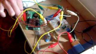 4017 Animal Sequencer