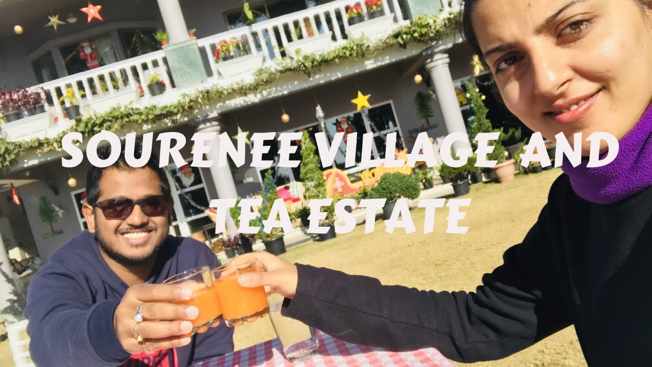 Sourenee Tea Estate and village experience | North Bengal Vlog