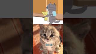 My Favorite Cat Prt Care For Preschoolers Education For Kids & Toddlers!