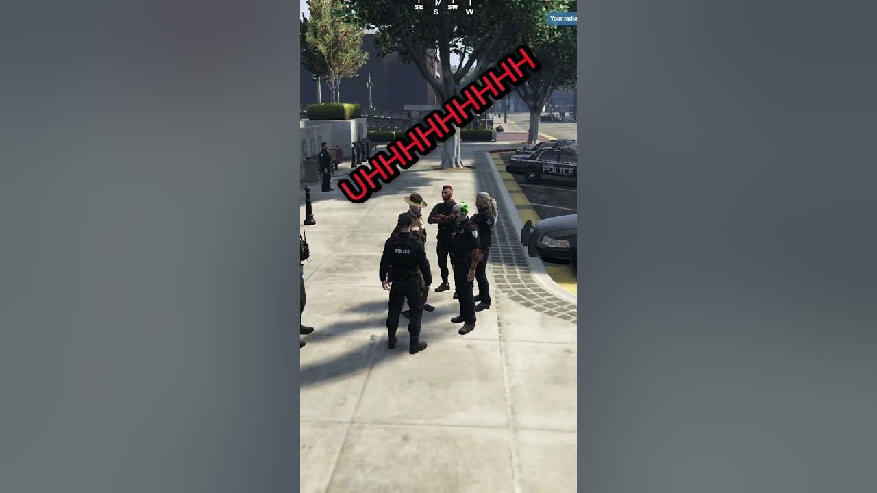 Voice Doppelganger gta gta5 gtav gtarp fivem fivemrp gamer 