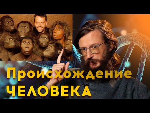 Видео: Происхождение человека | Станислав Дробышевский