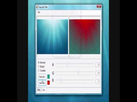 Visual Basic 2008 - Grayscale Filter