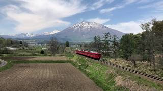 残雪と新緑の黒姫山に映えるコーラ電車