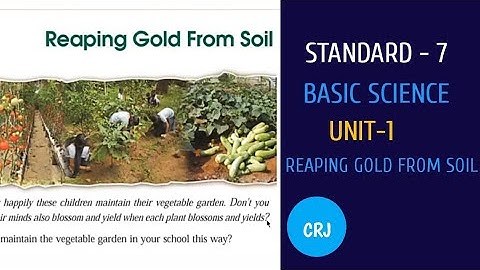 Reaping Gold from soil / unit 1 /7th standard /Basic science /Kerala syllabus /CRJ