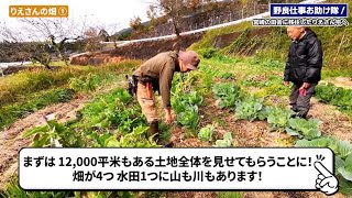 【出張お手伝い企画】一人で宮崎の田舎に移住し、自然農を営むりえさん宅をお手伝い！