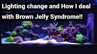 Lighting change and How I deal with Brown Jelly Syndrome