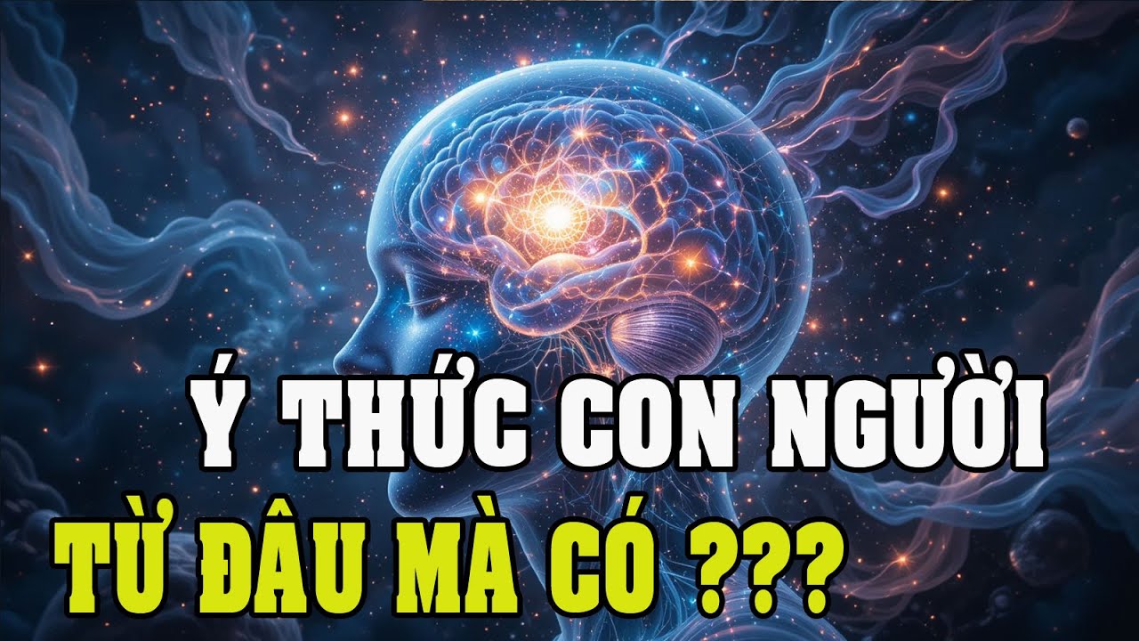 Ý thức con người đến từ đâu? Não bộ hay nghiệp lực?