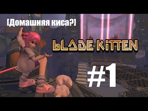 Blade Kitten #1[Домашняя киса?]
