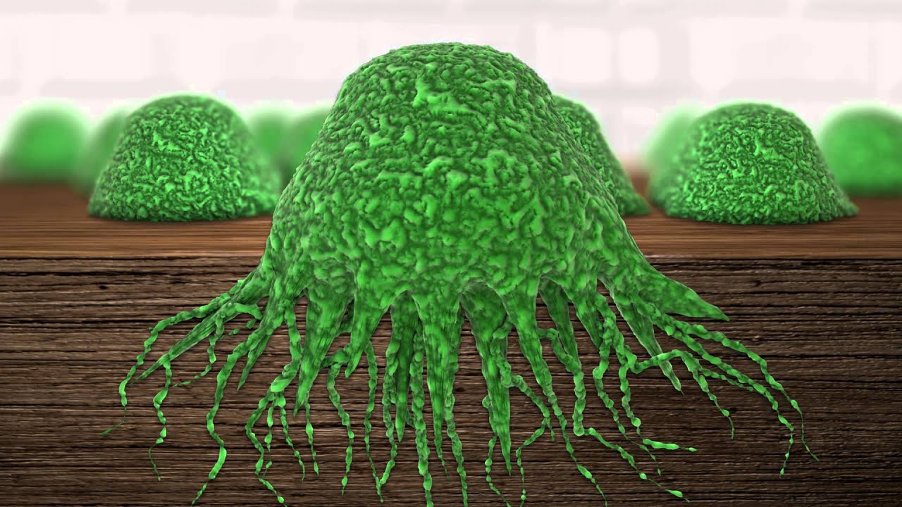 Killing Mold Spore Animation You Killing Mold Spore Animation