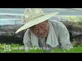 [한국농어촌공사] 농지연금 오매불망편 20s (2018)