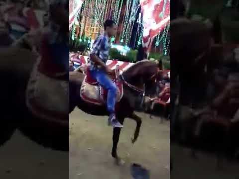 المعلم محمد إبراهيم البربري