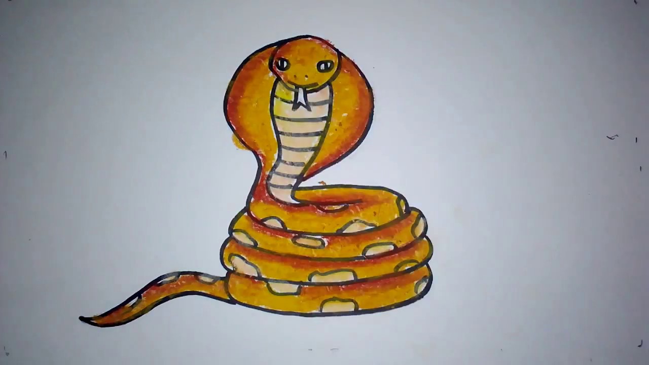 Cara Menggambar Ular Cobra Untuk Anak