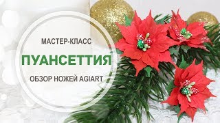 Обзор ножей AgiArt.ru для создания пуансеттий + МК!