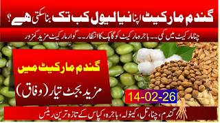 Wheat today rate in punjab | New rate of Wheat | guar price today | kala chana rate | Bajra rate