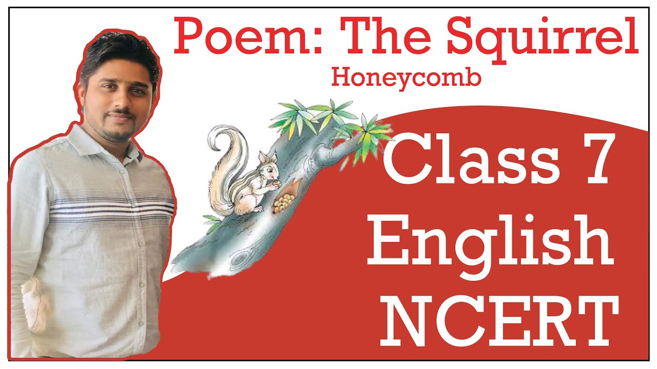 Class 7 - English - NCERT - The Squirrel (Poem) by Mildred ...