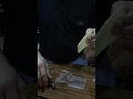 لا اله الا الله شوفوا بناكل ايه يا عرب
