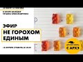 Детский эфир «Не горохом единым» в рамках рубрики «30 минут о генетике» с Татьяной Шнайдер