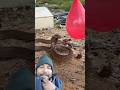 इस सांप को लाल कारण क्यों भाता है #snake #reletedmemo #birds