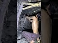 Coal mining under process 😯