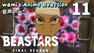 BEASTARS FINAL SEASON Part 2 同時視聴