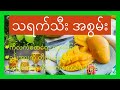 အသီးတို့ ၏ ဘုရင် သရက်သီး၊သရက္သီး၊