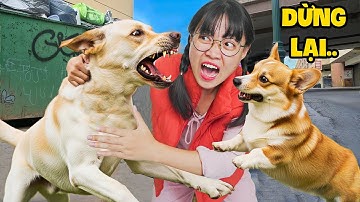 Hà Sam Tổ Chức Tiệc Chào Đón Thành Viên Mới – Cún Mini Không Chấp Nhận