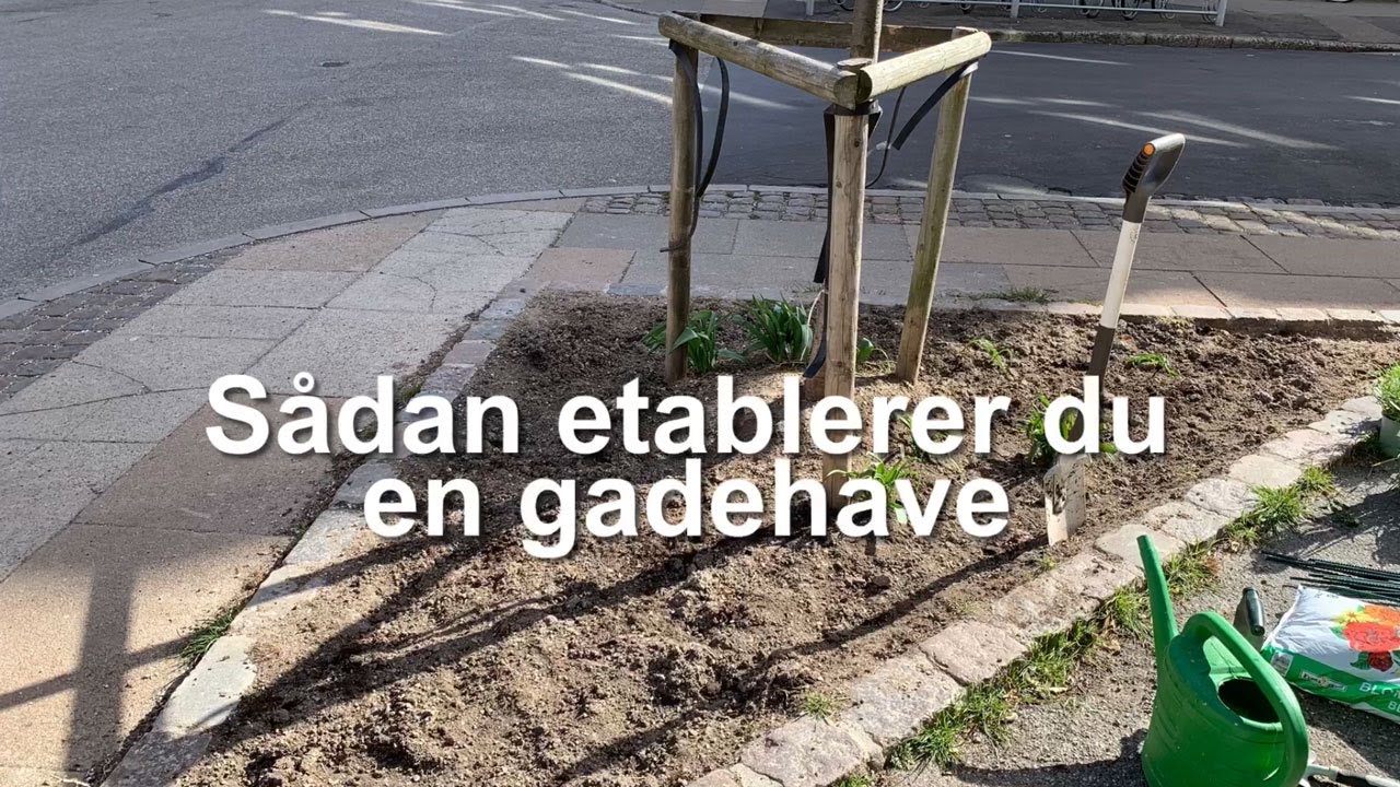 Sådan etablerer du en gadehave