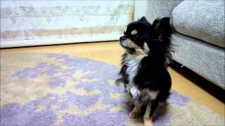 20120119.mp4