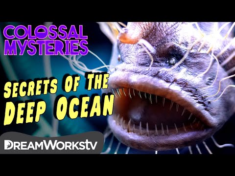 Video: Mysteries Of The Ocean - Uvanlige Fenomener - Alternativt Syn