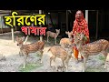 বাণিজ্যিক সুন্দরবনের চিতা হরিণের খামার এখন মানিকগঞ্জে | হরিণ পালন পদ্ধতি | Deer farm