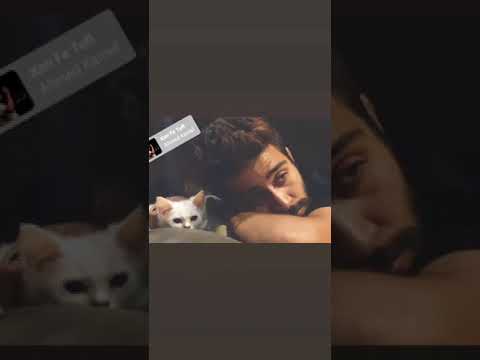 حالات واتس احمد كامل بيعند في القسى ويقسى Ahmed Kamel