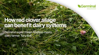 Red Clover Silage Helps Dairy Farmer Tony Ball Cut Nitrogen Fertiliser Use