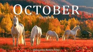 October 4K 🍁 A Journey Through Fall Foliage | Crimson Forests & Golden Autumn Landscapes