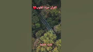 تلاوة تريح العقل والقلب #قرآن #تلاوة #اسلام #تسبيح #دعاء #صلاة #quran #prayer #vlog #explore #viral