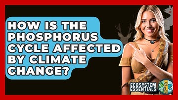 How Is The Phosphorus Cycle Affected By Climate Change? - Ecosystem Essentials
