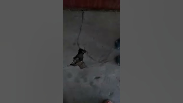 Дыра в полу.