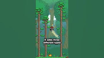 The MAX Jump Height in Terraria!