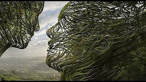 Carbon Based Lifeforms - T-Rex Echoes [Music Video]