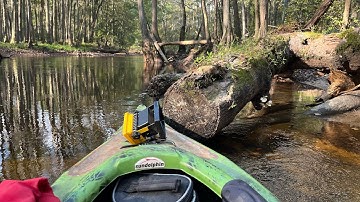 Kayaking Lumber River,,& Heard something knocking 🌄#hitlikebutton 