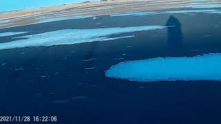 2021 1128 Combat Plane test with 10x4 5 Drone Prop