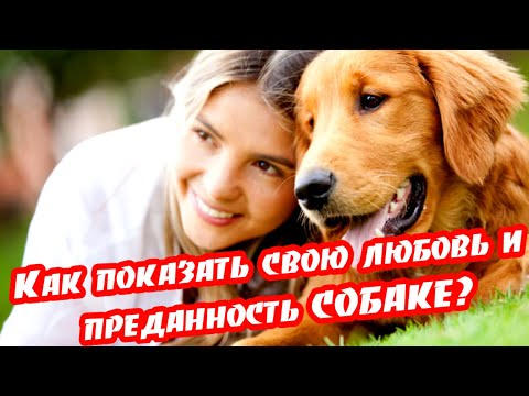 ➤ Как показать свою любовь и преданность собаке ➤ Люди и животные ➤ Как вести себя с собакой