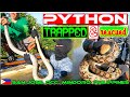 EP105 - We Rescued a Trapped Python | Mud Crab Catch 'n Cook | Occ. Mindoro