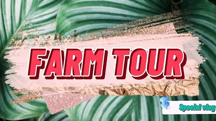 FARM TOUR / SPECIAL VLOG / ANNIE LIM