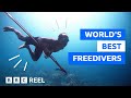 The tribe that evolved to stay underwater longer  bbc reel
