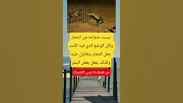 لیست شجاعه من الحمار ولكن الوضع Viralvideo 2025 Viral ماوراءيات ترند تيك توك اكسبلور Memes 