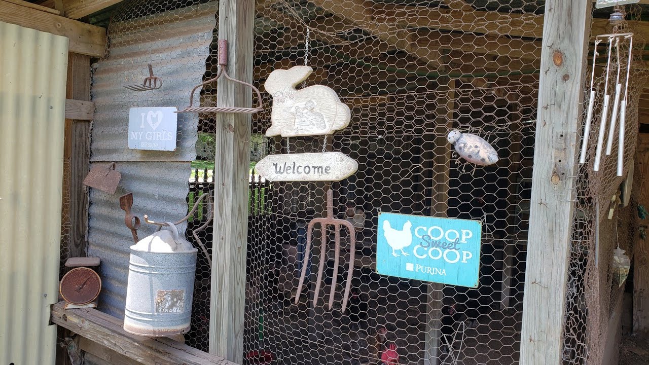 Garbanzo bean flour waffles. YouTube