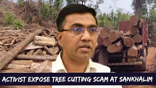 SOCIAL  ACTIVIST EXPOSE TREE CUTTING SCAM AT SANKHALIM ! CLAIM 700 TREES CUT DOWN ILLEGALLY