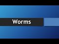 Malwares - Worms